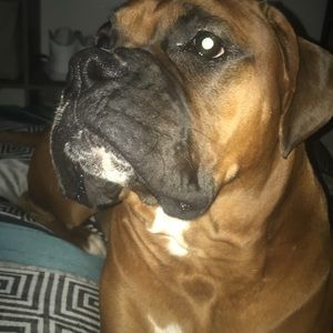 Meet your Posher, Tyler